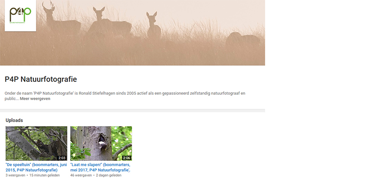 P4P YouTube kanaal geopend