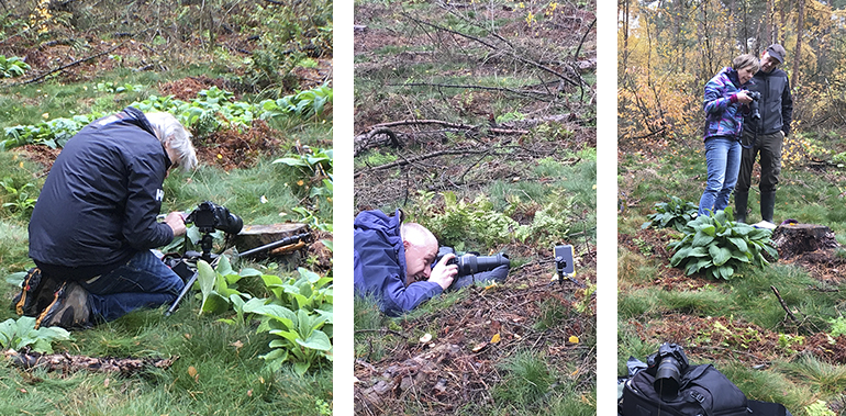 Geslaagde cursusdag paddenstoelen fotografie